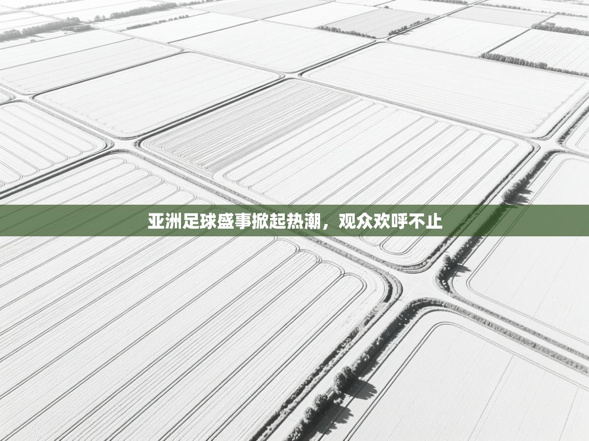 亚洲足球盛事掀起热潮，观众欢呼不止