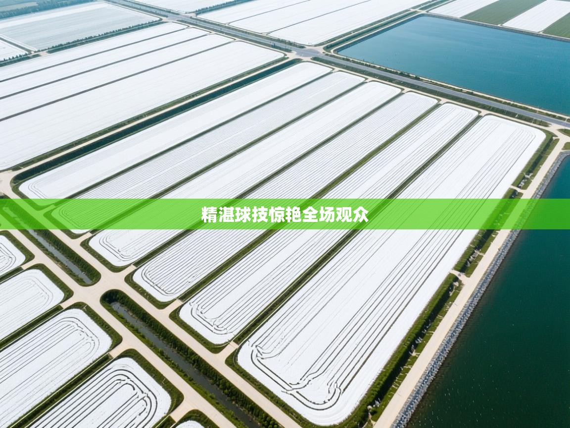 精湛球技惊艳全场观众